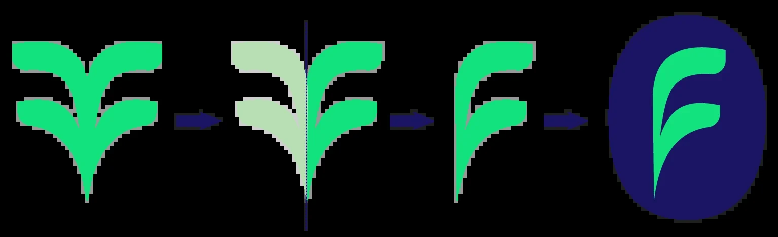 Construction du logo Farrago, une feuille qui forme le F dans une graine, création Amandine Roussarie (Studio d’AR)