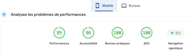 Score Google PageSpeed sur mobile du site XSCopter : performances 95 sur 100